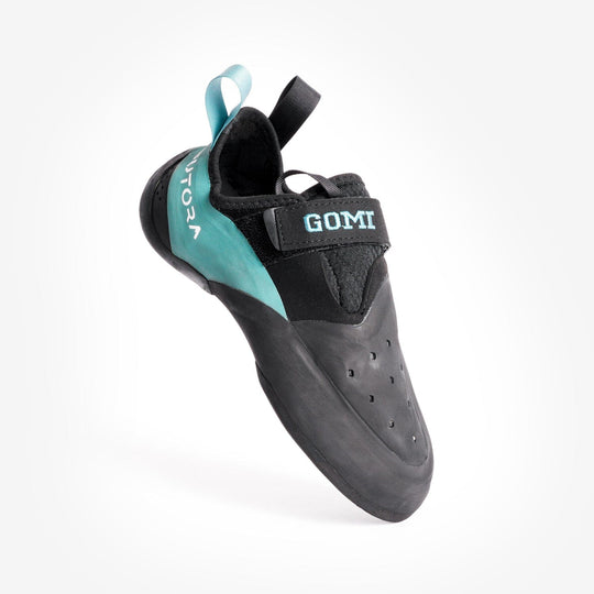 Gomi